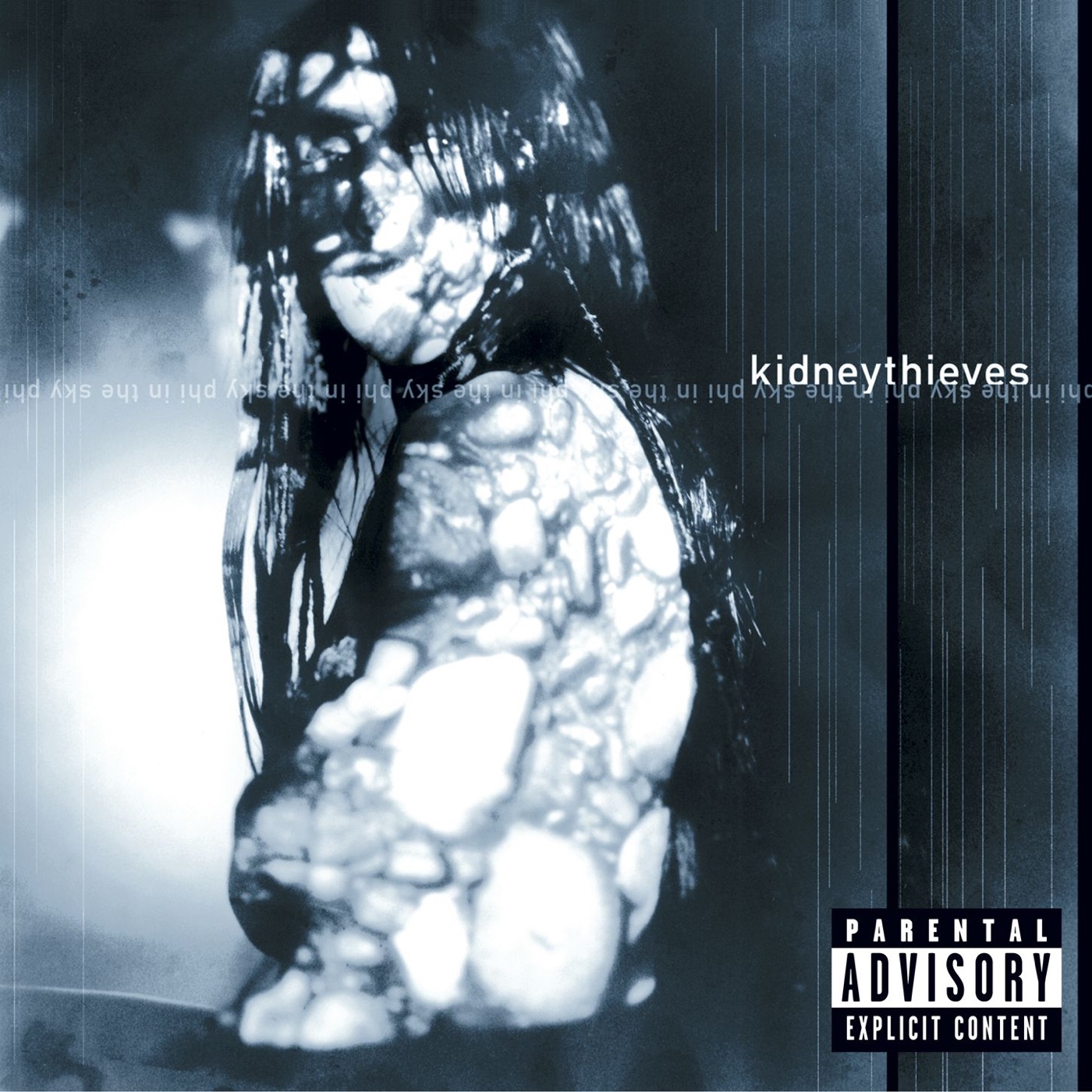 Kidneythieves - Zerospace